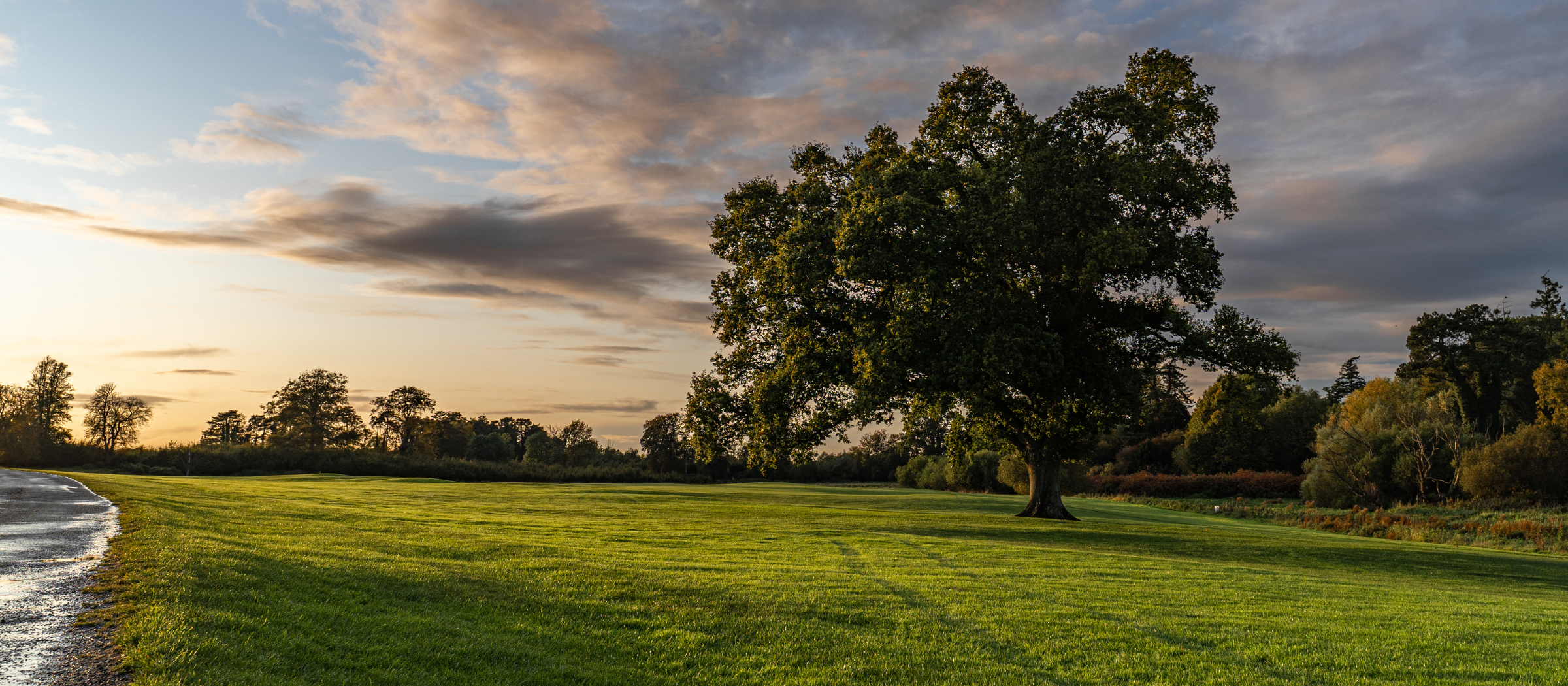 A green field in Maynooth, Co Kildare.