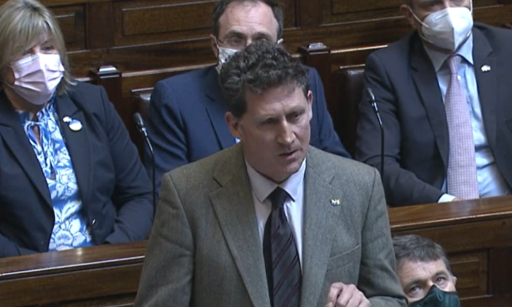 Eamon Ryan speaks to the Dáil following Ukrainian president Volodymyr Zelenskyy's speech on April 6 2022