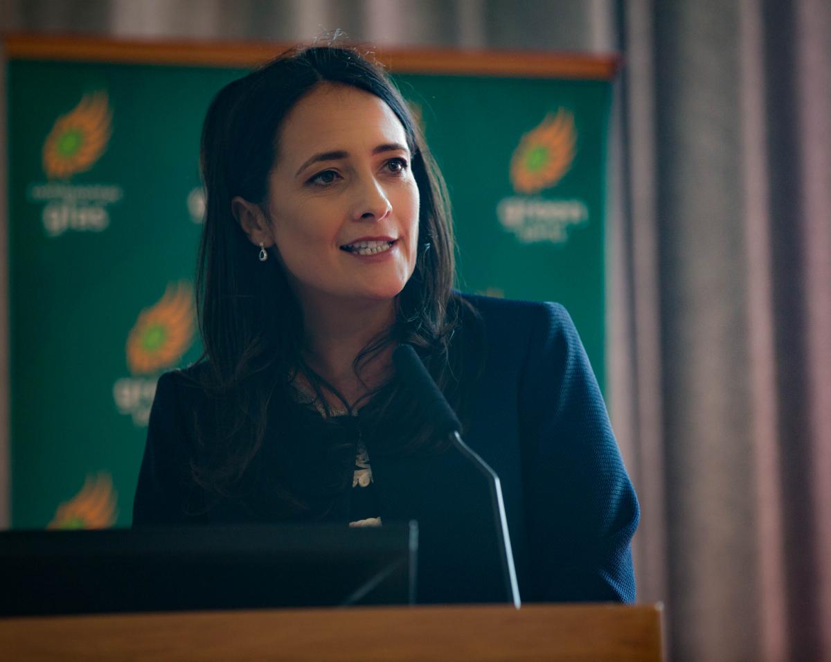 Catherine Martin TD speaks at the Catherine Martin at the Green Party Annual Convention 2016