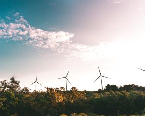 Wind turbines visible over a field