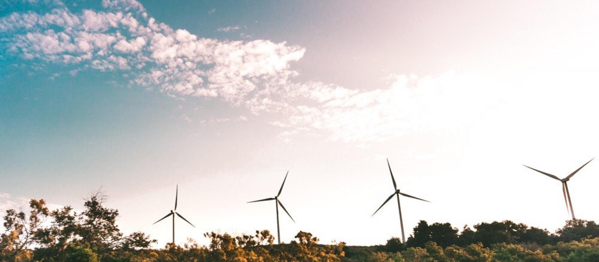 Wind turbines visible over a field