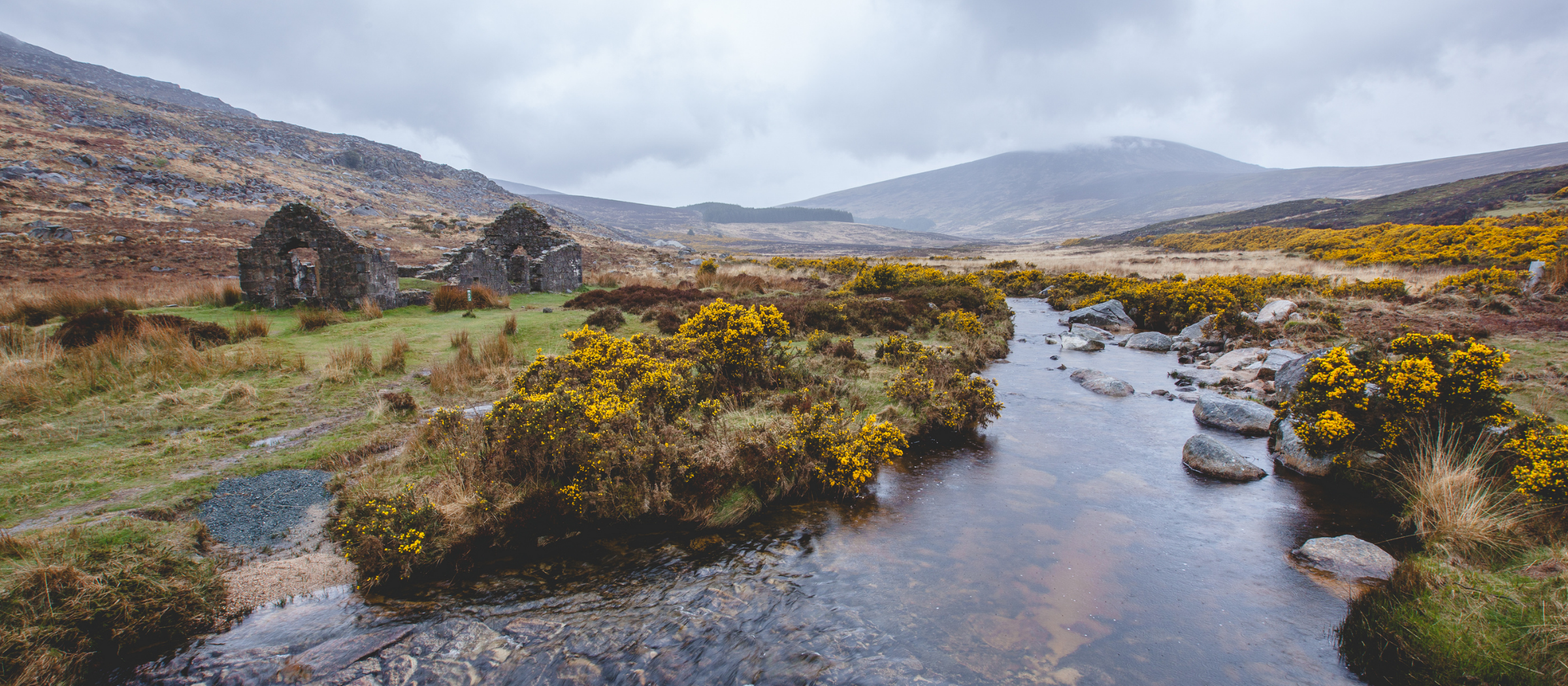 Wicklow Mountains National Park.