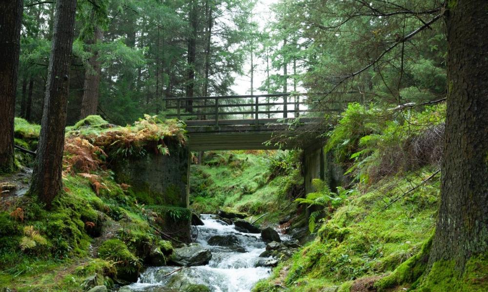 Bridge in a park - stock image