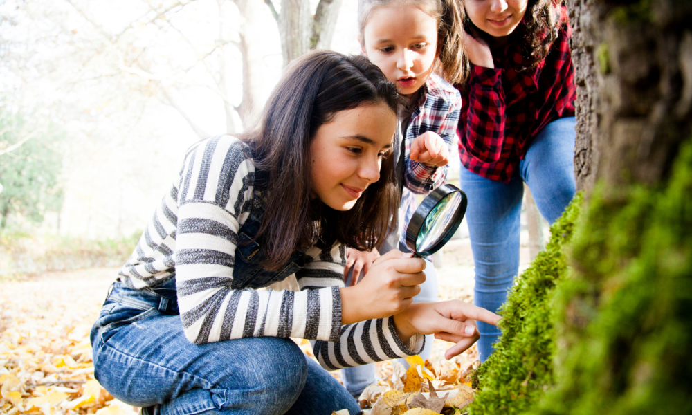 Children look for insects in tree bark