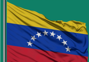 Venezuela flag